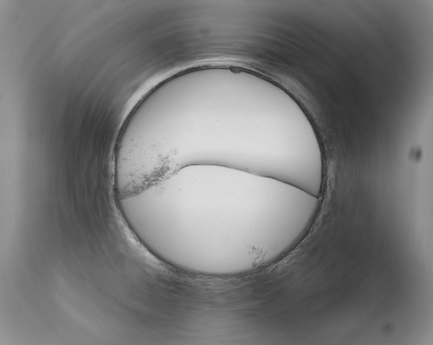 X0000113141428200909251252