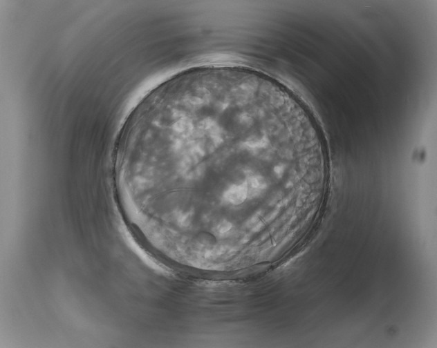 X0000113141429200909251252