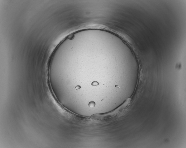 X0000113141430200909251252