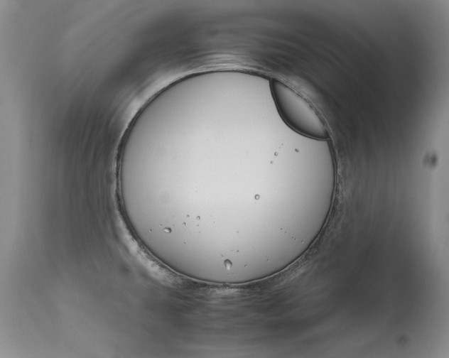 X0000113141431200909251252