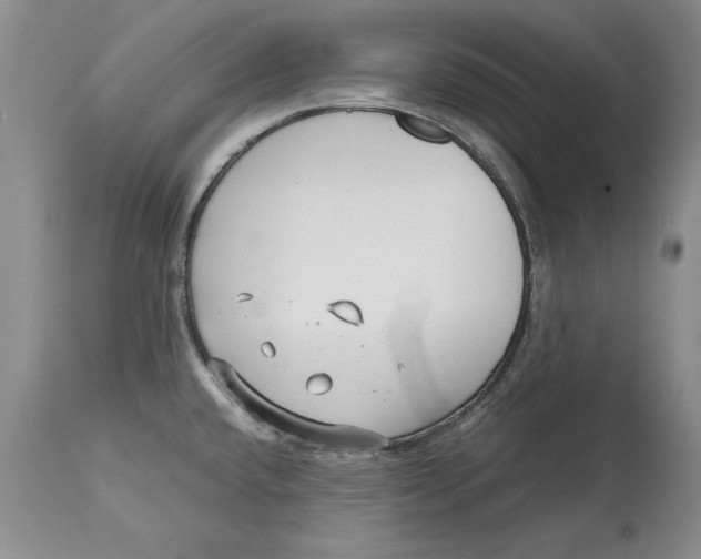 X0000113141432200909251252