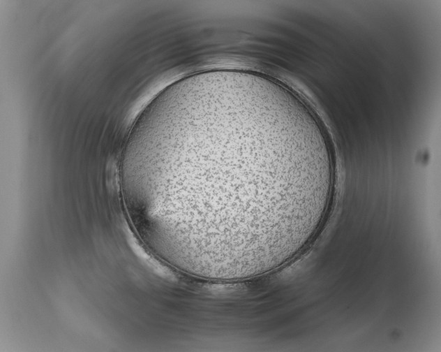 X0000113141433200909251252