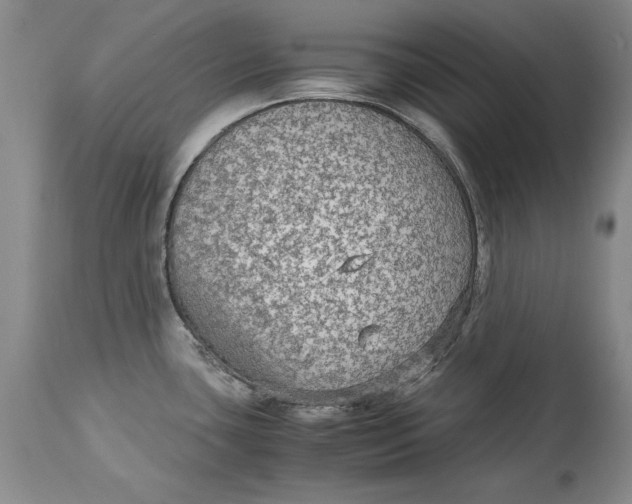 X0000113141435200909251253