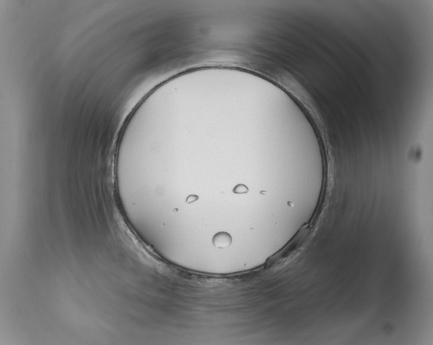 X0000113141436200909251253