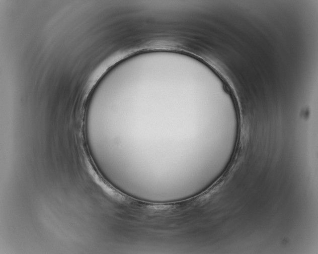 X0000113141437200909251253