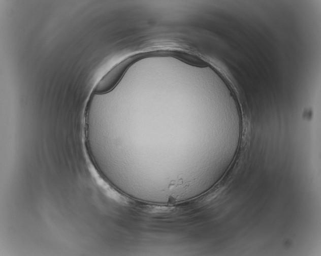 X0000113141439200909251253