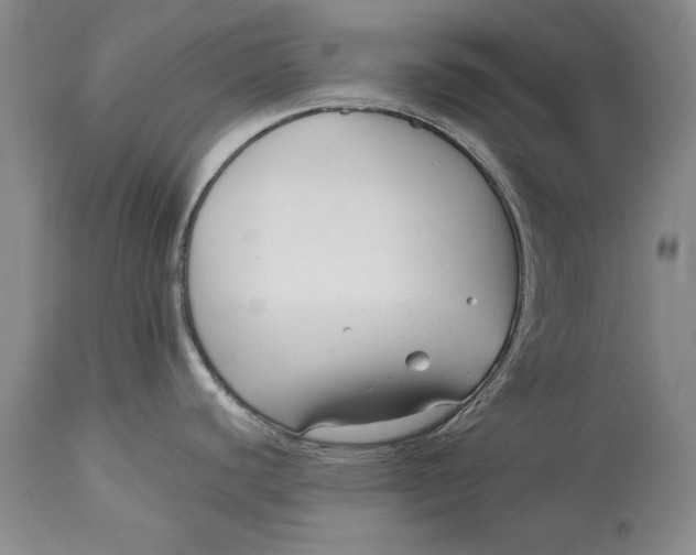 X0000113141440200909251253