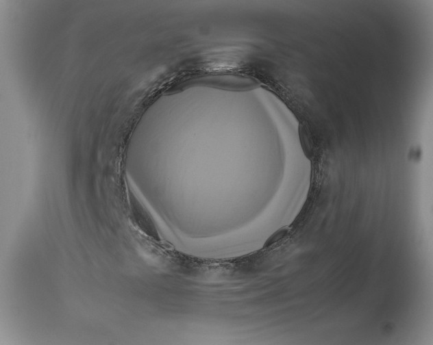 X0000113141441200909251252