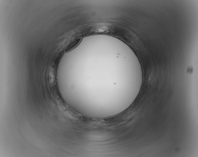 X0000113141442200909251252