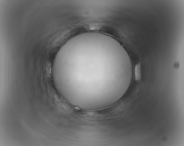 X0000113141443200909251252