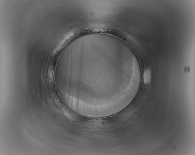 X0000113141444200909251252