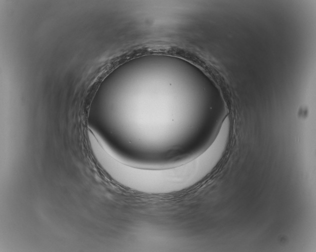 X0000113141445200909251252