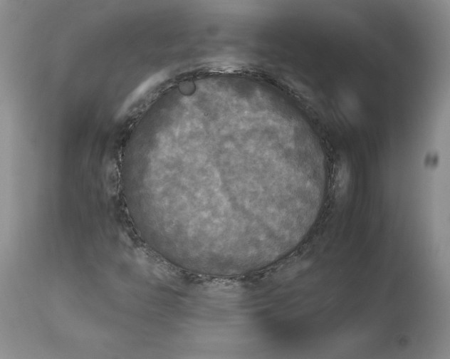 X0000113141446200909251252