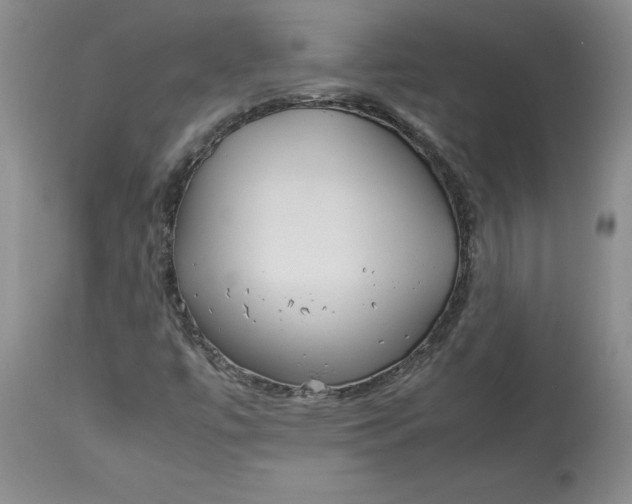 X0000113141447200909251252