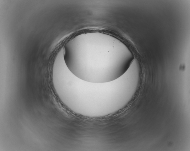 X0000113141448200909251252