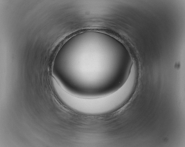 X0000113141449200909251252