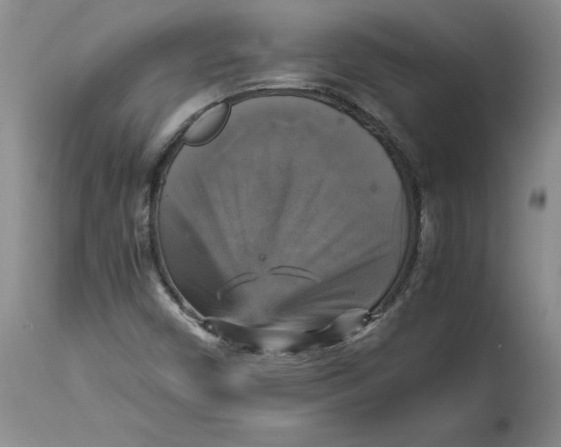 X0000113141450200909251252