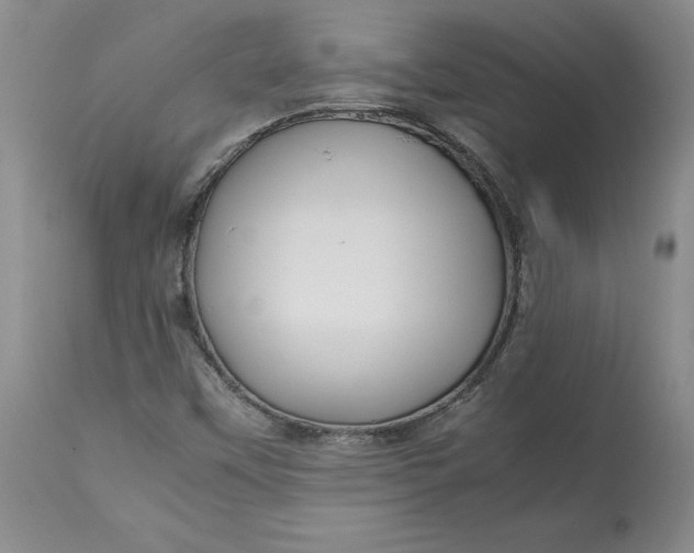 X0000113141451200909251252