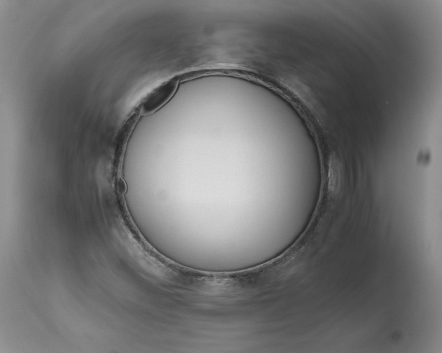 X0000113141452200909251252