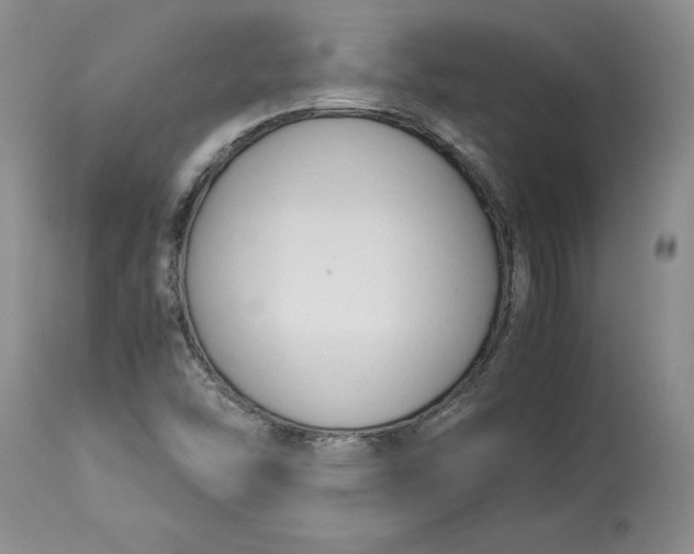 X0000113141454200909251252