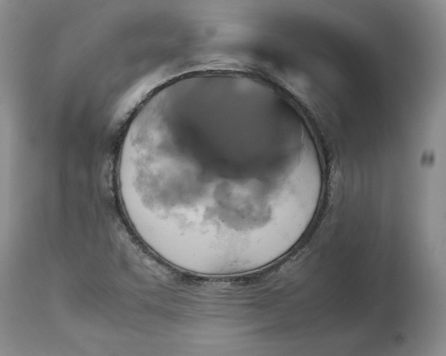 X0000113141455200909251252