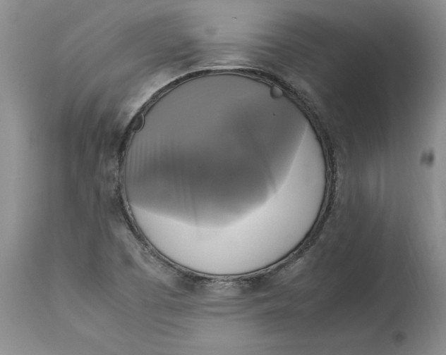 X0000113141457200909251252