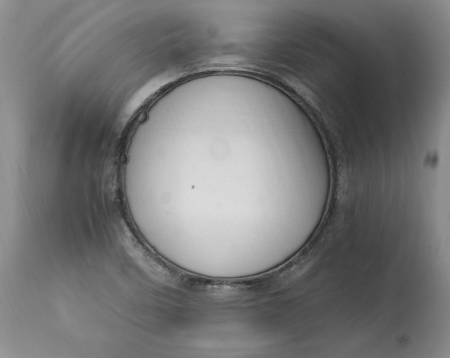 X0000113141458200909251252