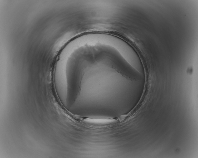 X0000113141459200909251252