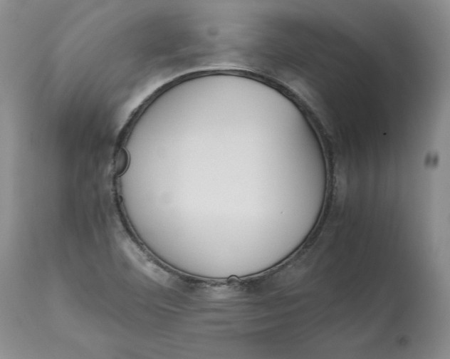 X0000113141460200909251252