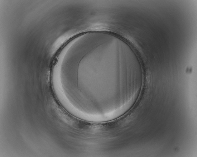 X0000113141461200909251252