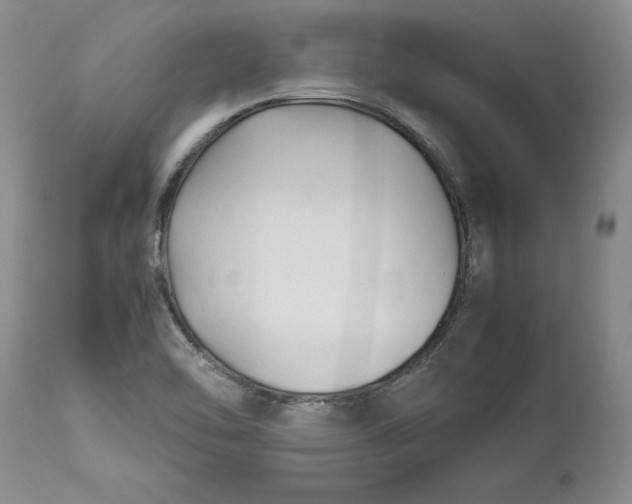 X0000113141462200909251252