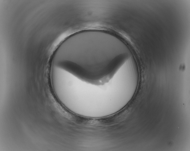 X0000113141463200909251252