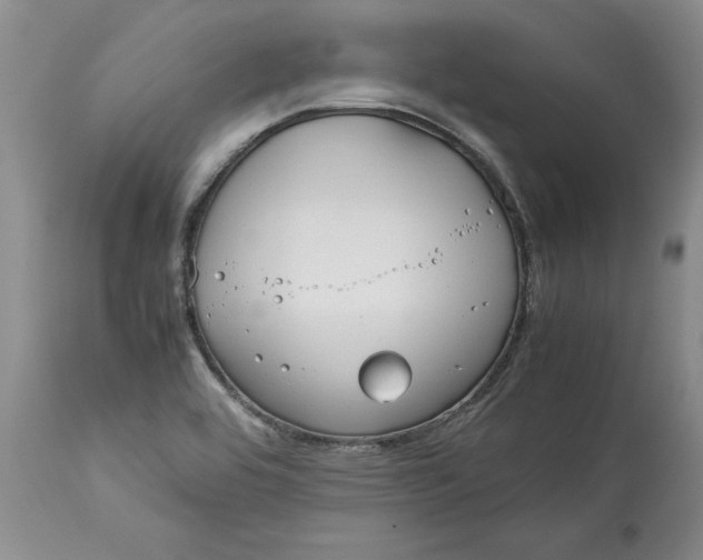 X0000113141464200909251252