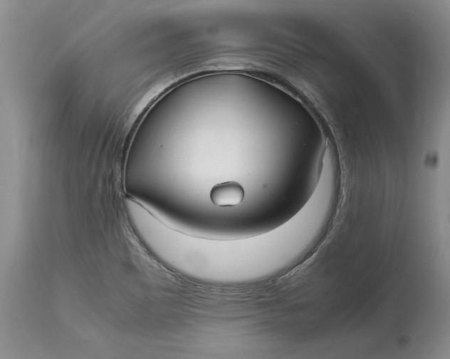 X0000113141465200909251252