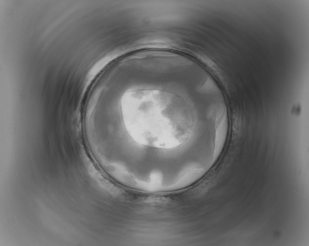 X0000113141466200909251252