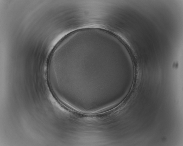 X0000113141468200909251252