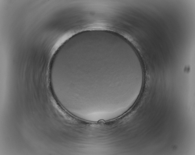 X0000113141469200909251252