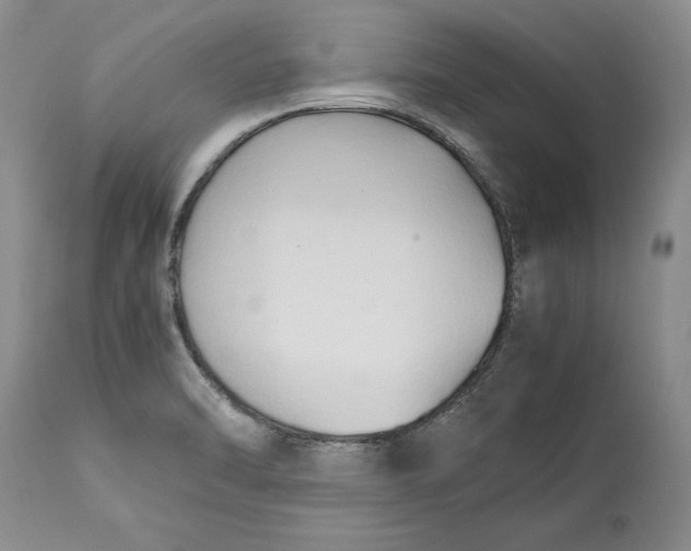 X0000113141470200909251252