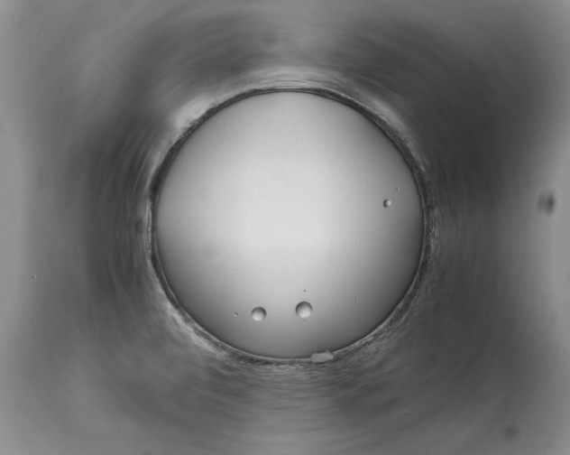 X0000113141472200909251252