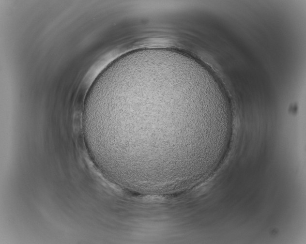 X0000113141473200909251251