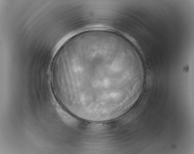 X0000113141474200909251251