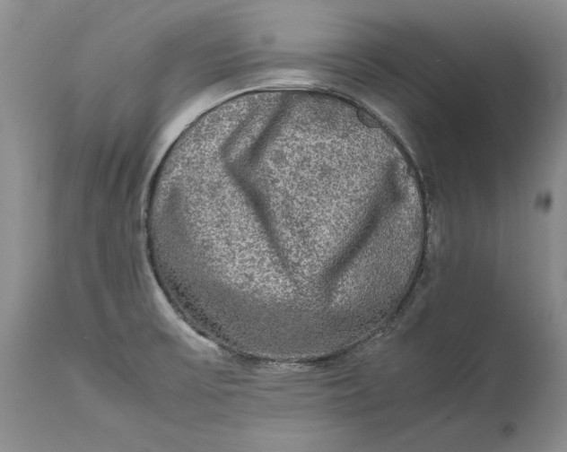 X0000113141475200909251251