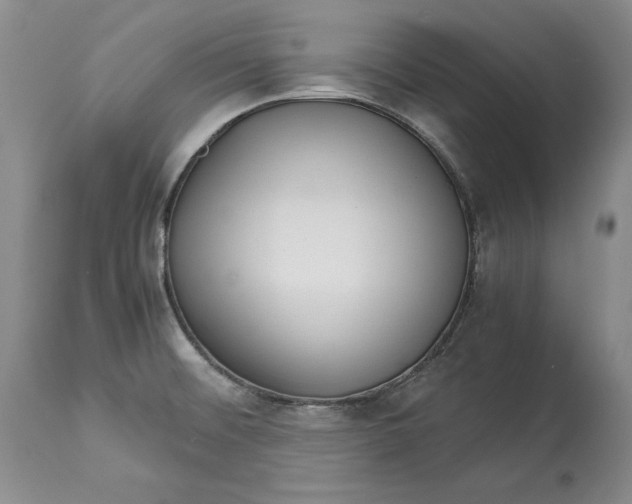 X0000113141476200909251251