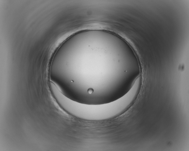 X0000113141477200909251251