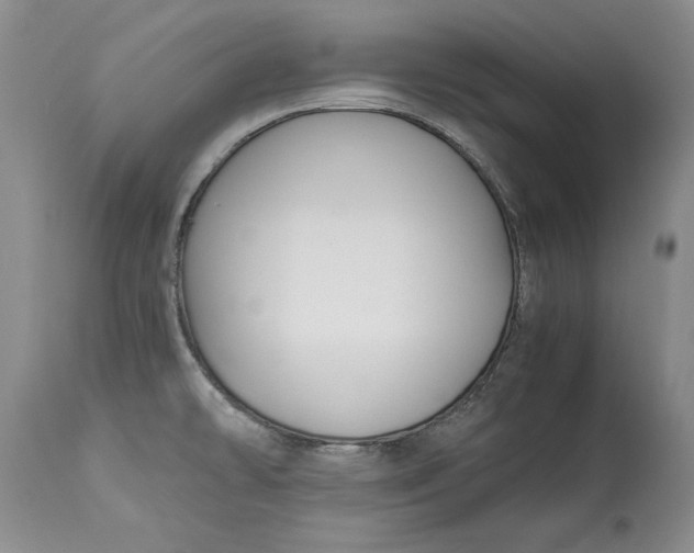 X0000113141478200909251251