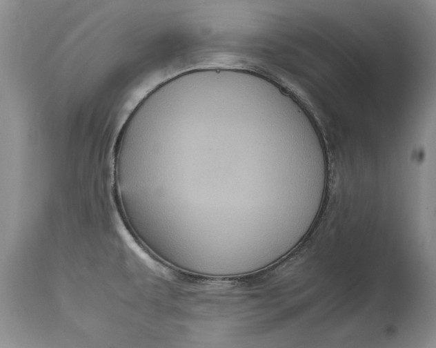 X0000113141479200909251251