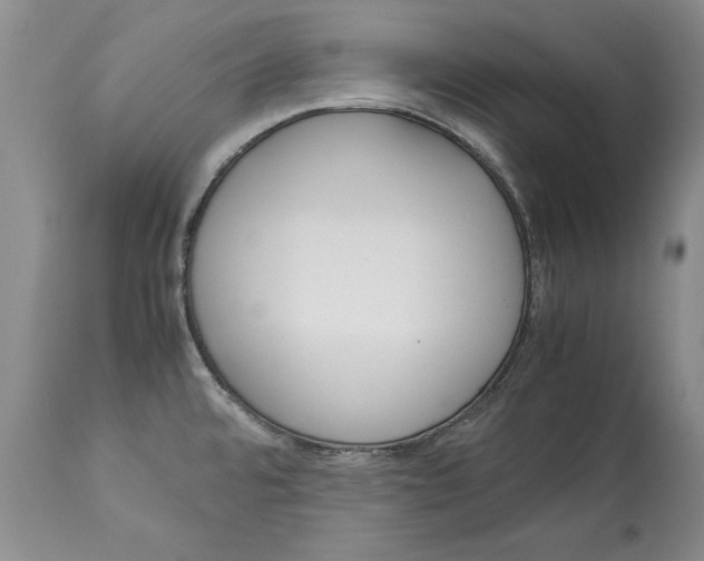 X0000113141480200909251251