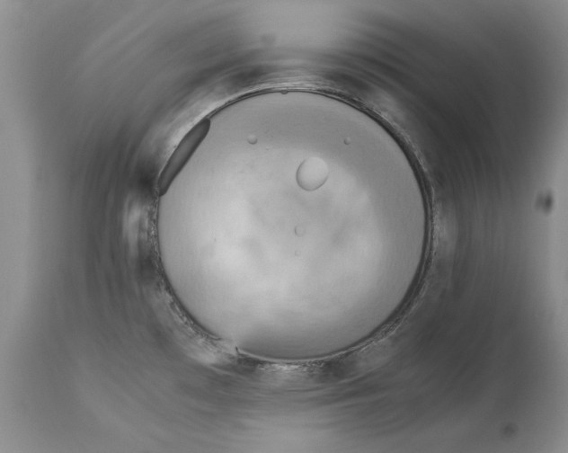 X0000113141481200909251251