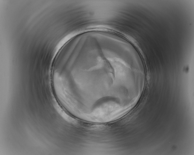 X0000113141482200909251251