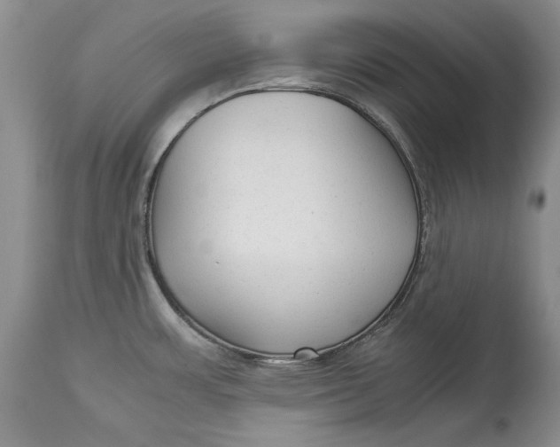 X0000113141483200909251251